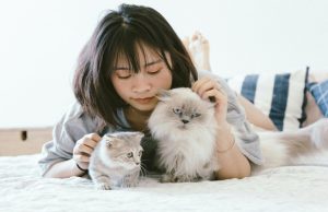 nature of pets and behavior