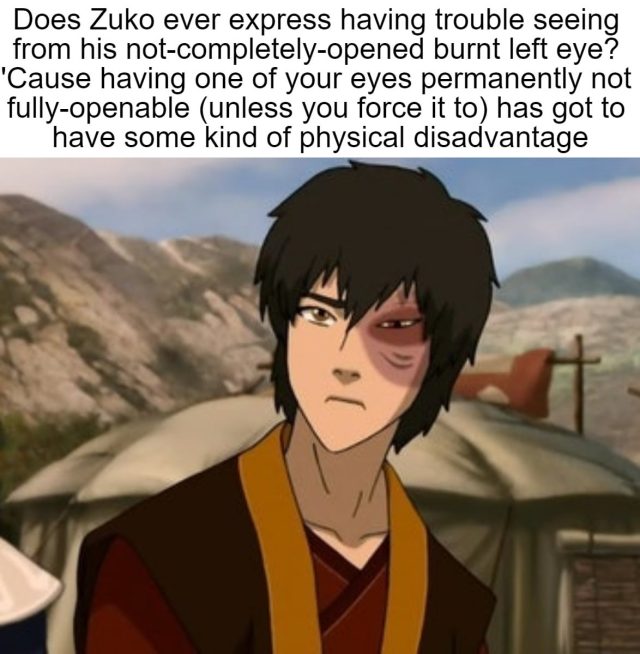 What Happened To Zuko'S Eye?