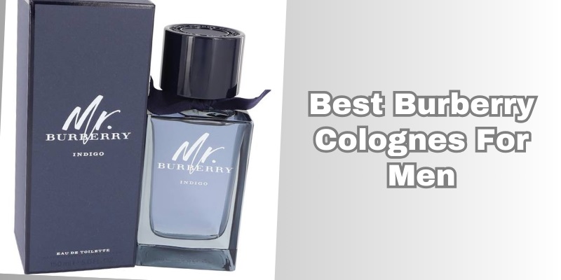 best burberry colognes for men